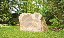 ������������ ���� �� ���������� �������: ��� ����� ����������� ��������