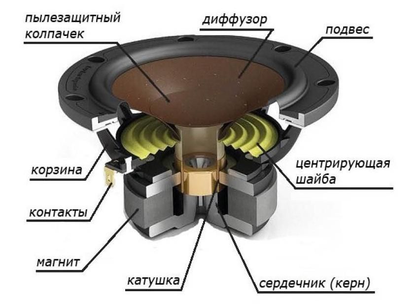 ustroystvo-dinamika-5.jpg